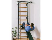 BenchK Series 7 723 Multifunctional Gymnastic Wall Bars Swedish Ladder for Home Fitness & Exercise image 13