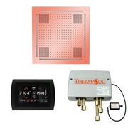 ThermaSol WHSPSR HydroVive Wellness Shower Package With SignaTouch Control & Rainhead image 6
